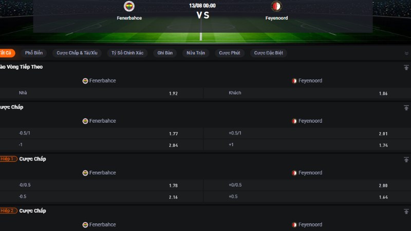 Fenerbahce vs Feyenoord